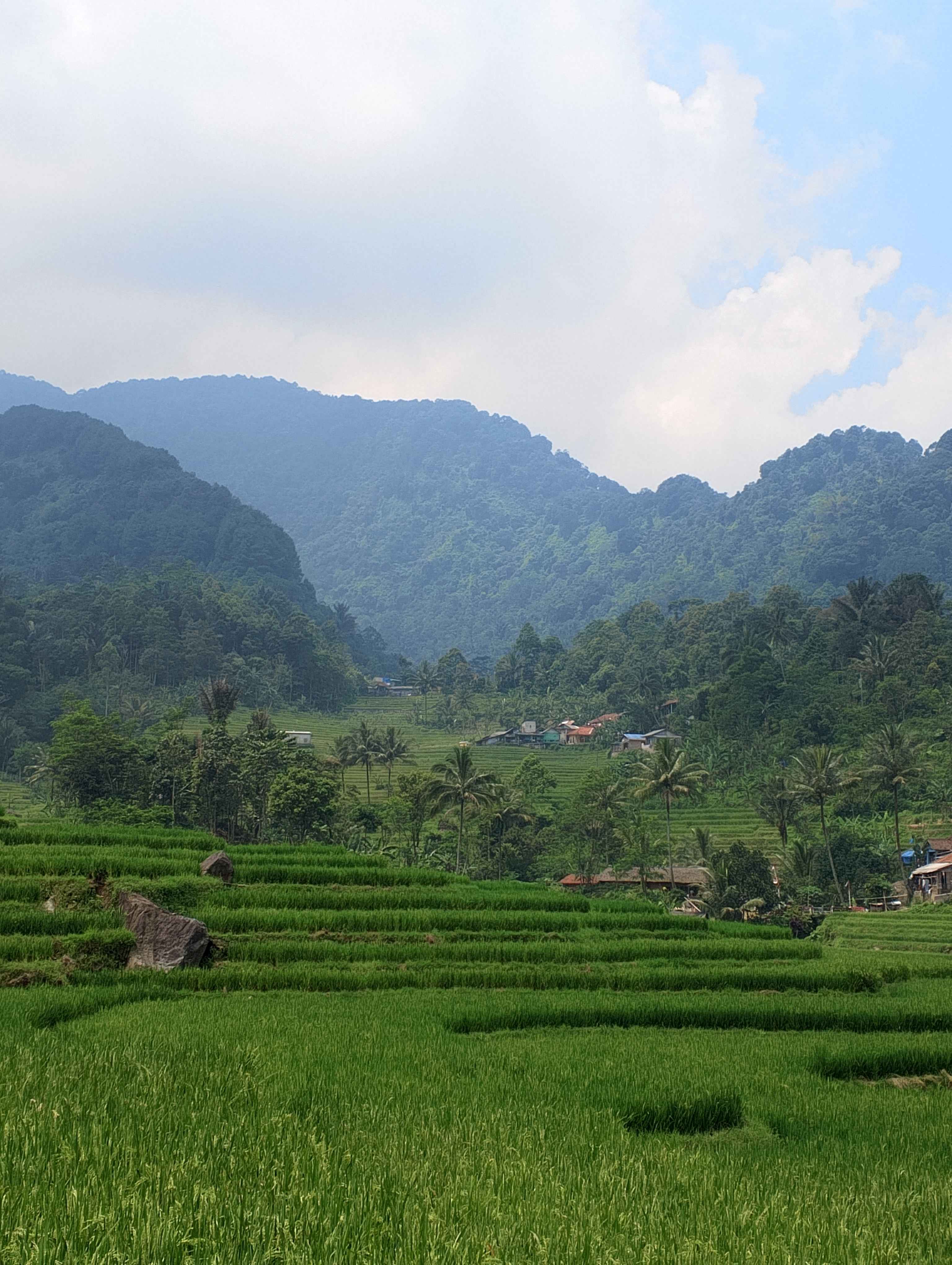 Pemandangan Sawah dan Gunung